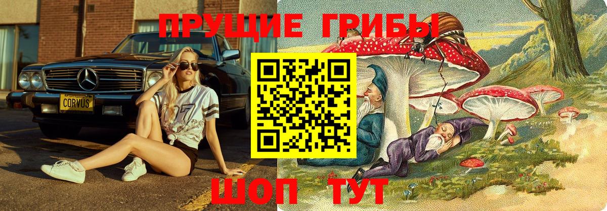 Галлюциногенные грибы Cubensis  Вход с VPN  Буйнакск 